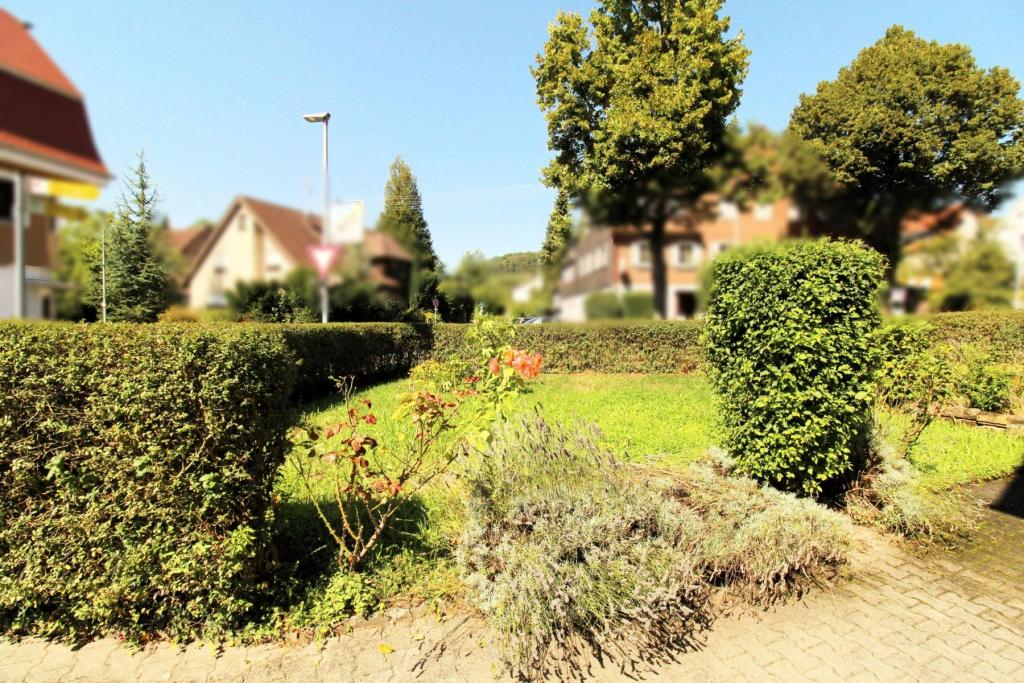 Garten