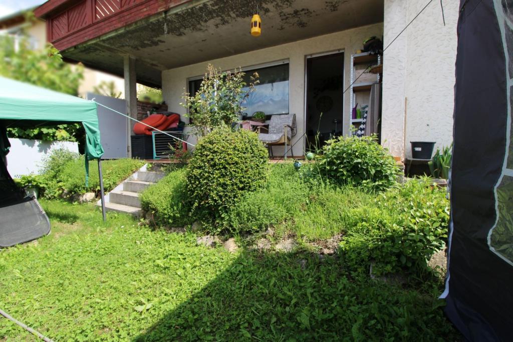 Garten - Terrasse
