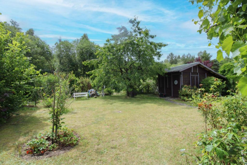 Garten und Schuppen