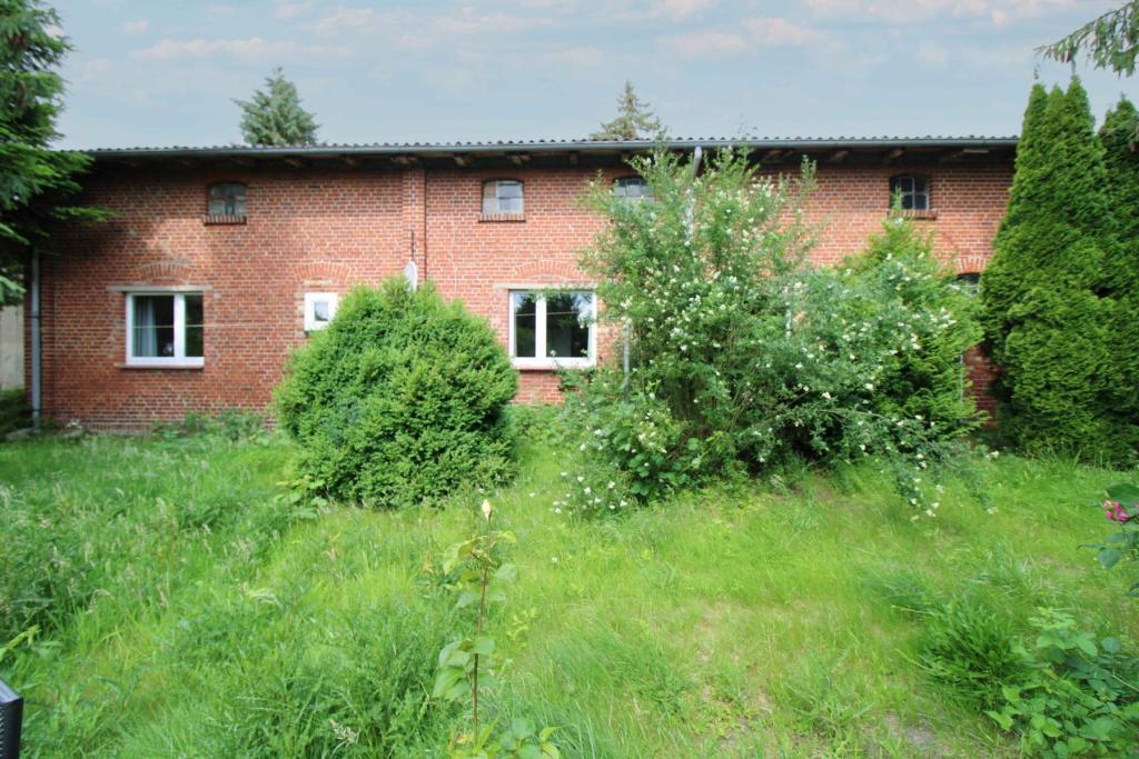 Rückseite