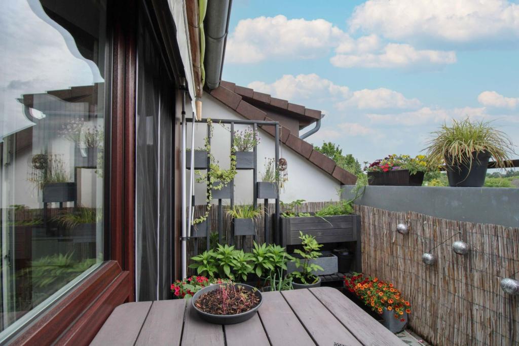 Loggia(1)
