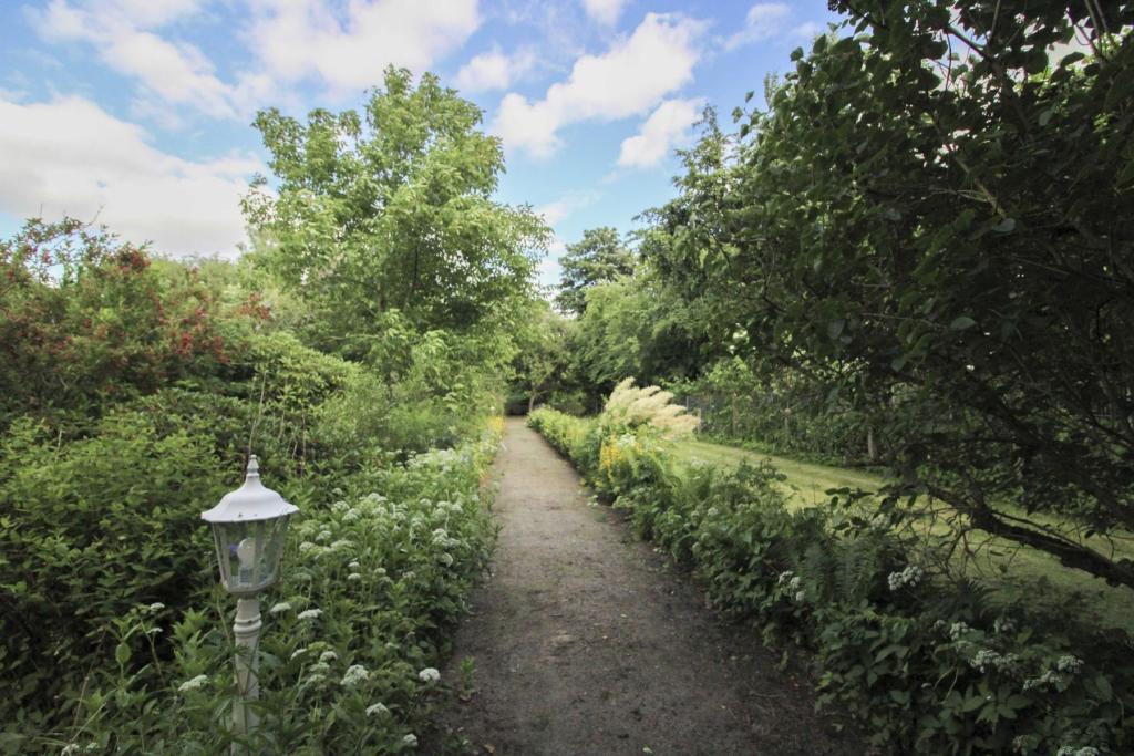 Garten (3)