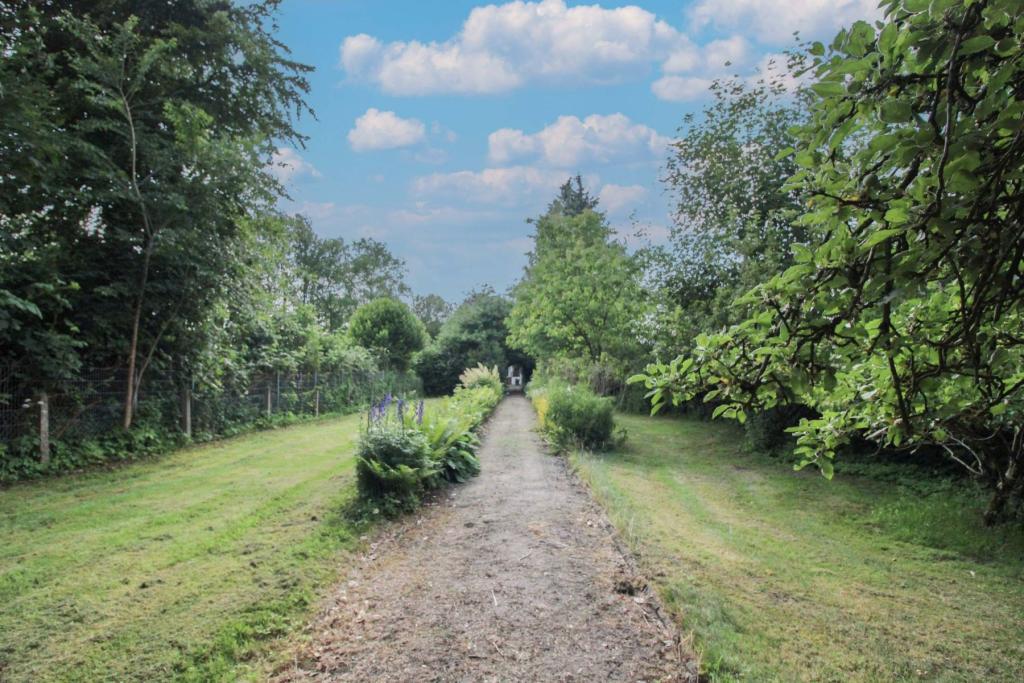 Garten (2)