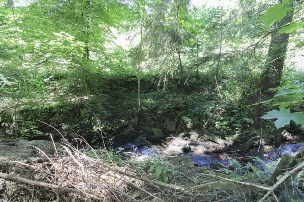 Grenzbach