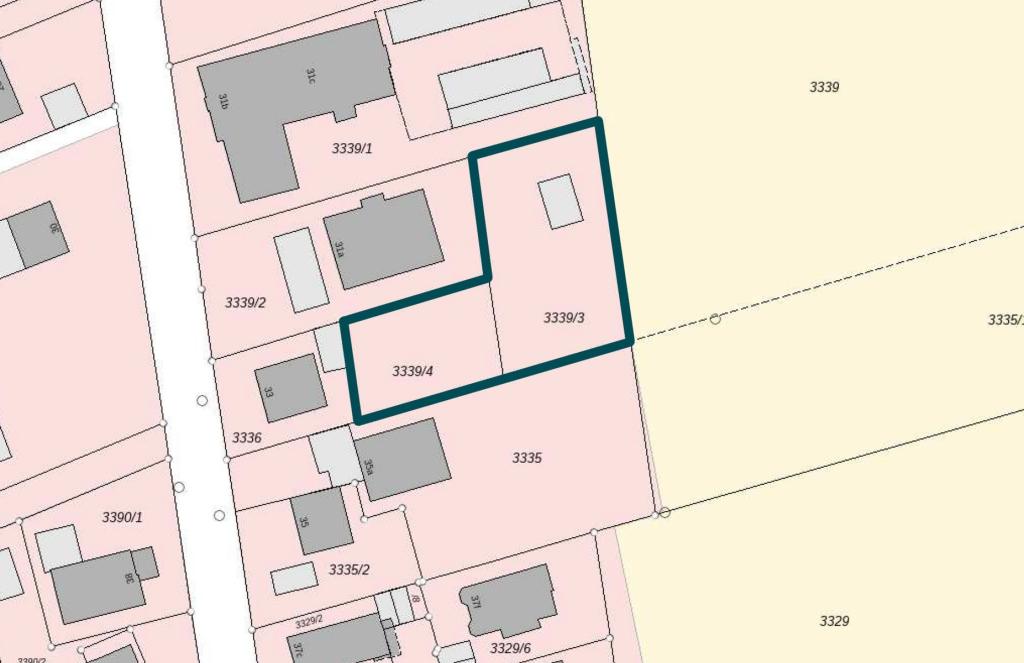 Lageplan_Flurkarte_Birkenstraße 33_01-1