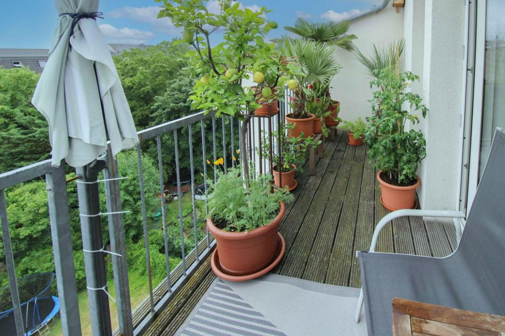 Balkon Ansicht 01