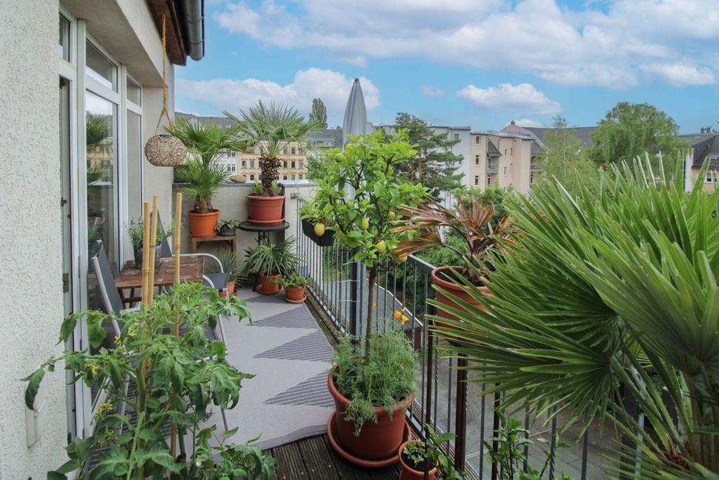 Balkon Ansicht 02