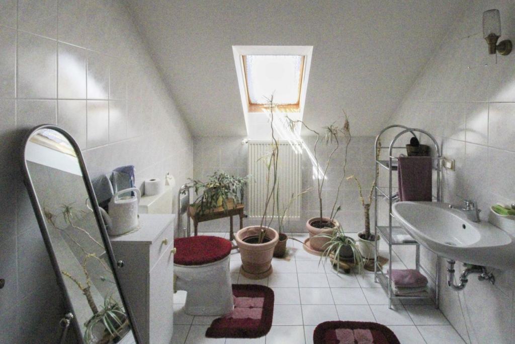 WC DG