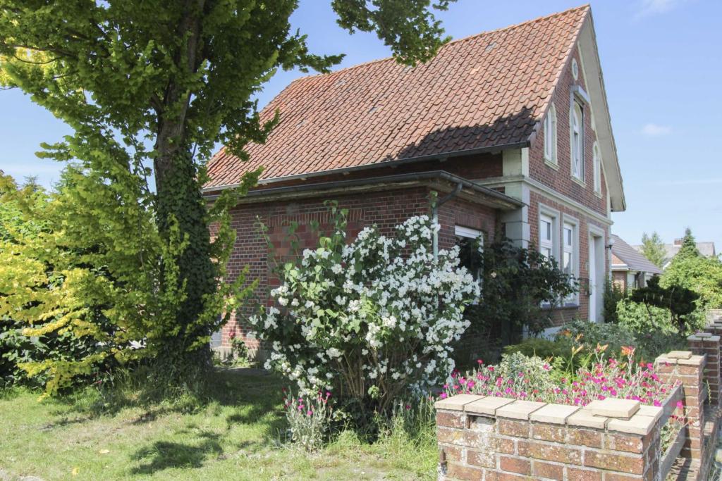 blühender Vorgarten