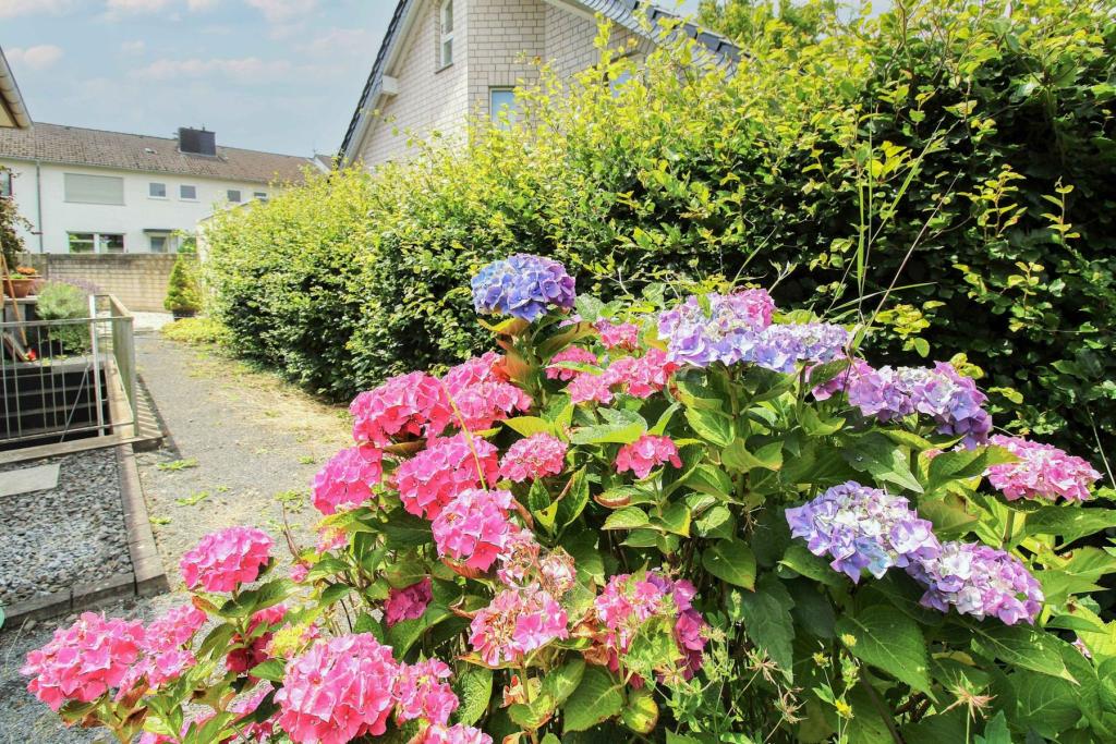 Seitenbereich - Garten