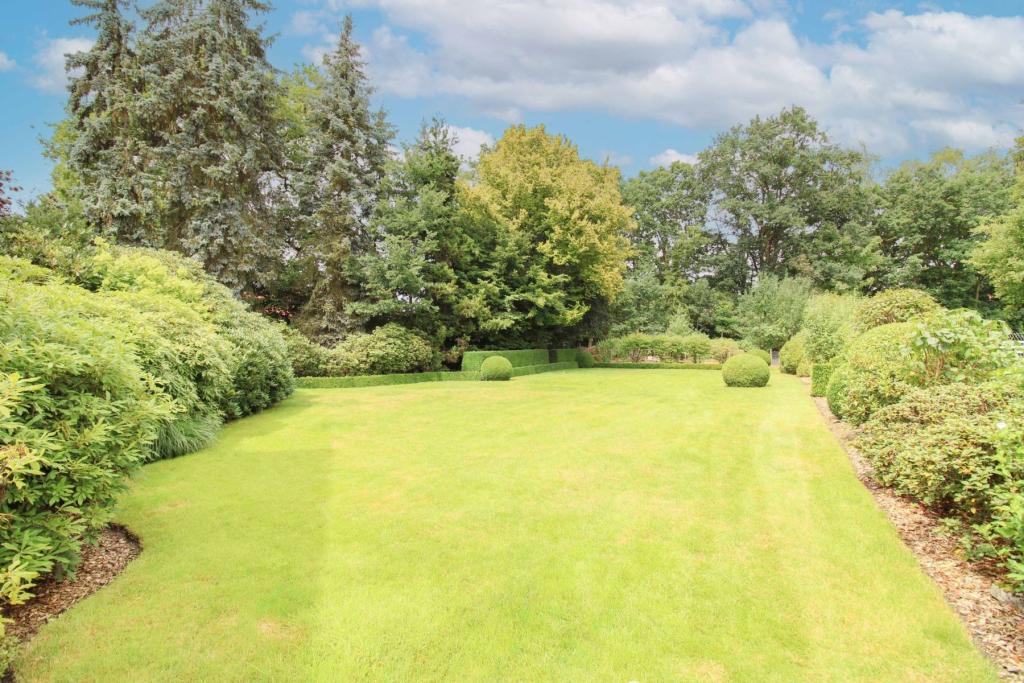 Garten hinten
