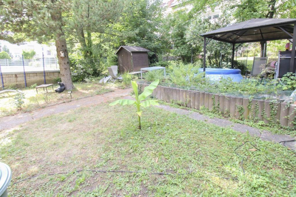 Garten_