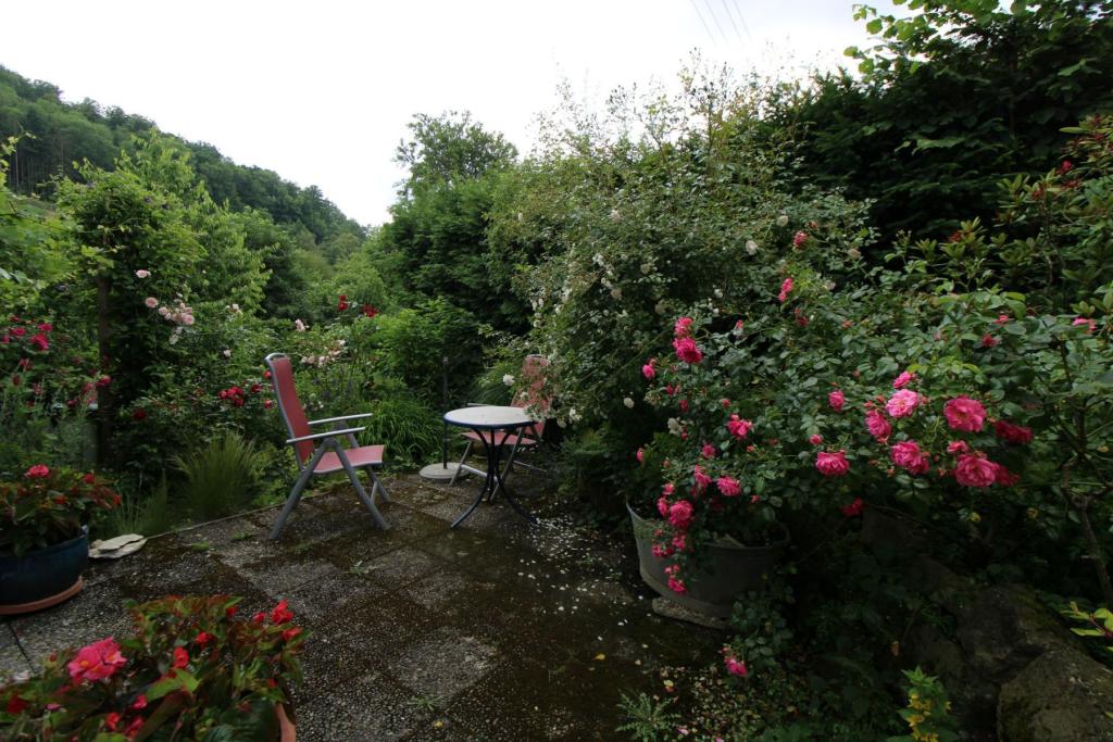 Terrasse 1