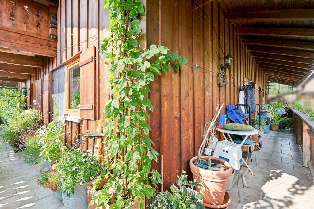 Balkon 1.OG
