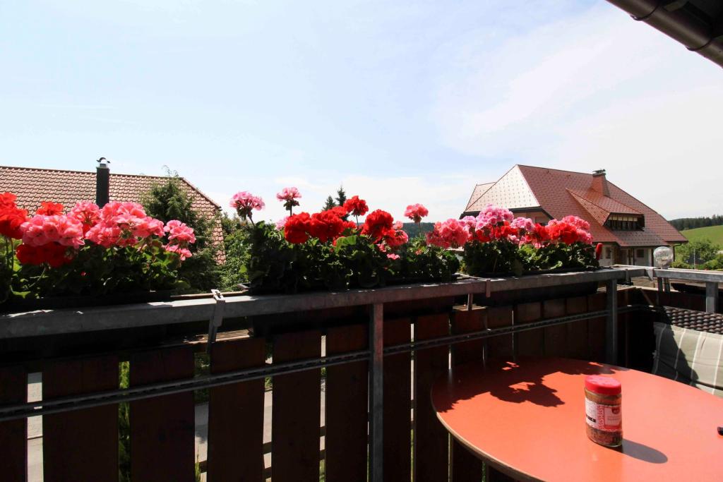 Balkon EG (2)