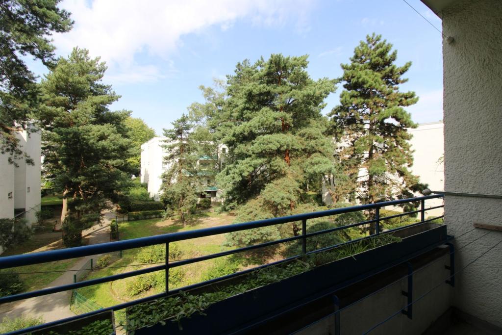 Blick vom Balkon