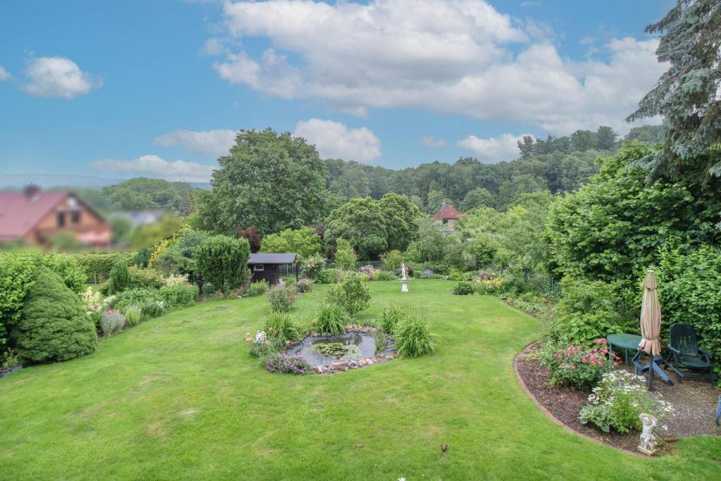 Blick in den Garten