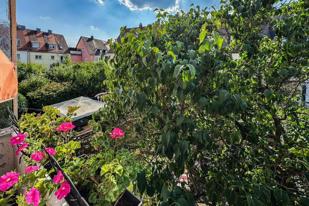 Balkon  1. OG