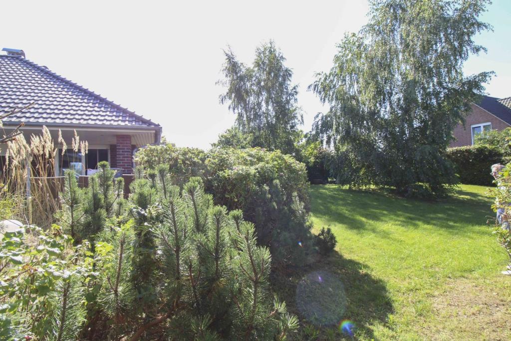 Garten(2)