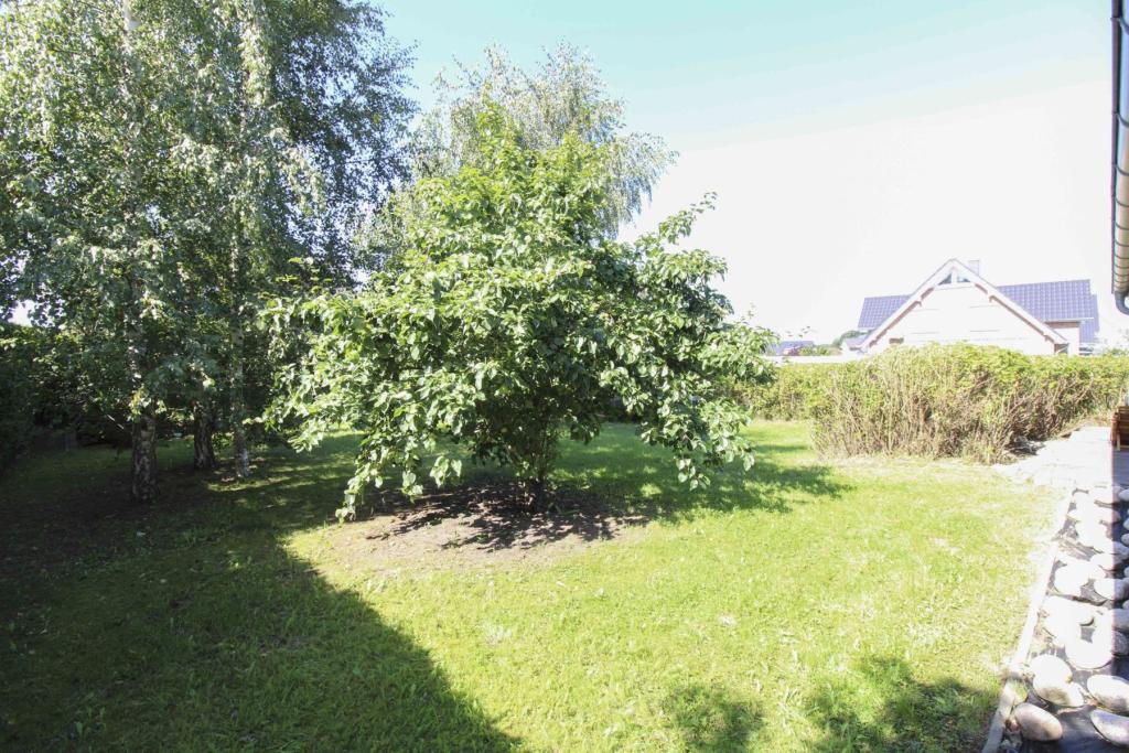 Garten(1)