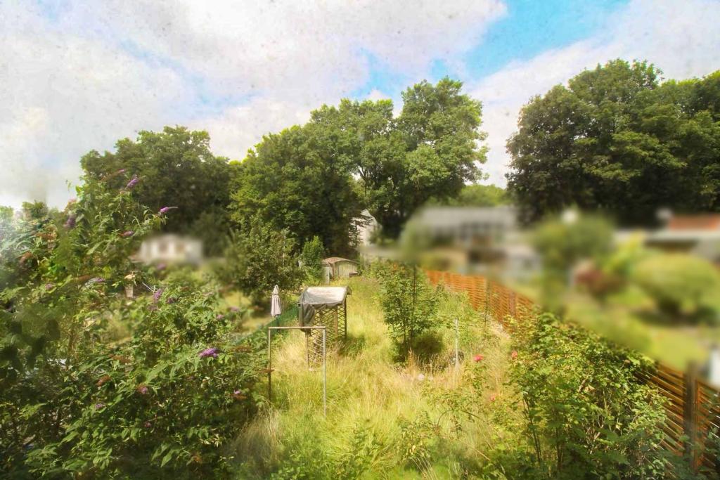 Blick in den Garten