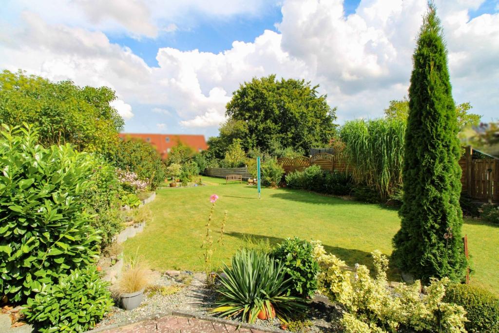 Garten 1