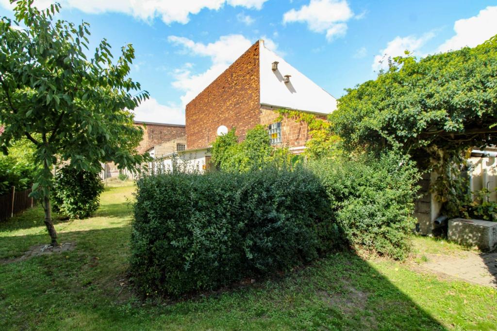 Garten(1)
