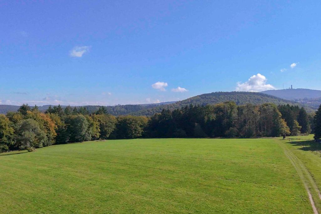 Aussicht von Balkon zum Feldberg