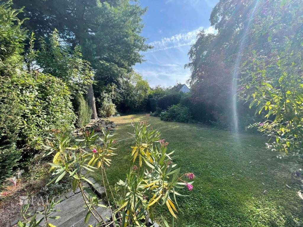 Blick in den Garten_01