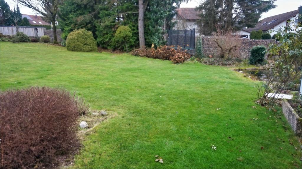 Blick in den Garten