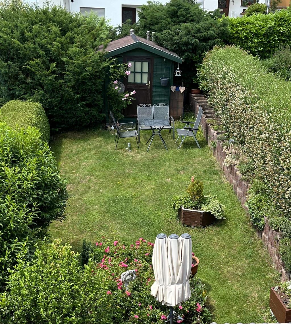 Aussicht in Garten
