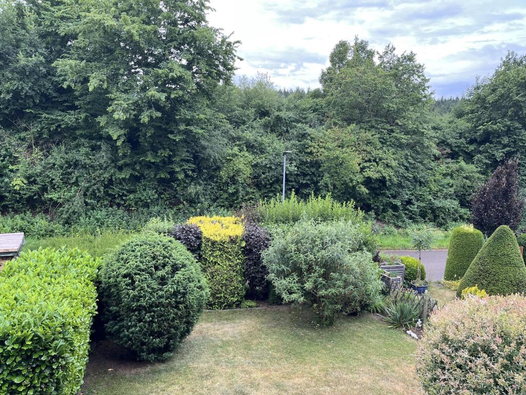 Ausblick Balkon