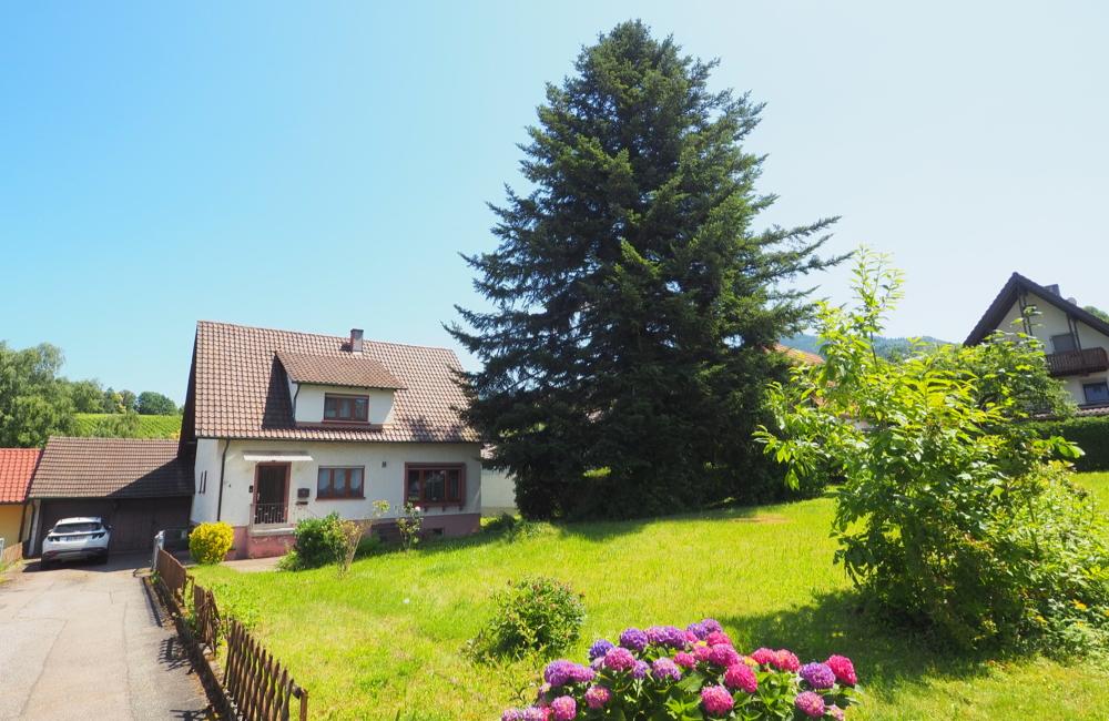 abefbd70-872e-4870-8bb4-e1aa03a7cb5f