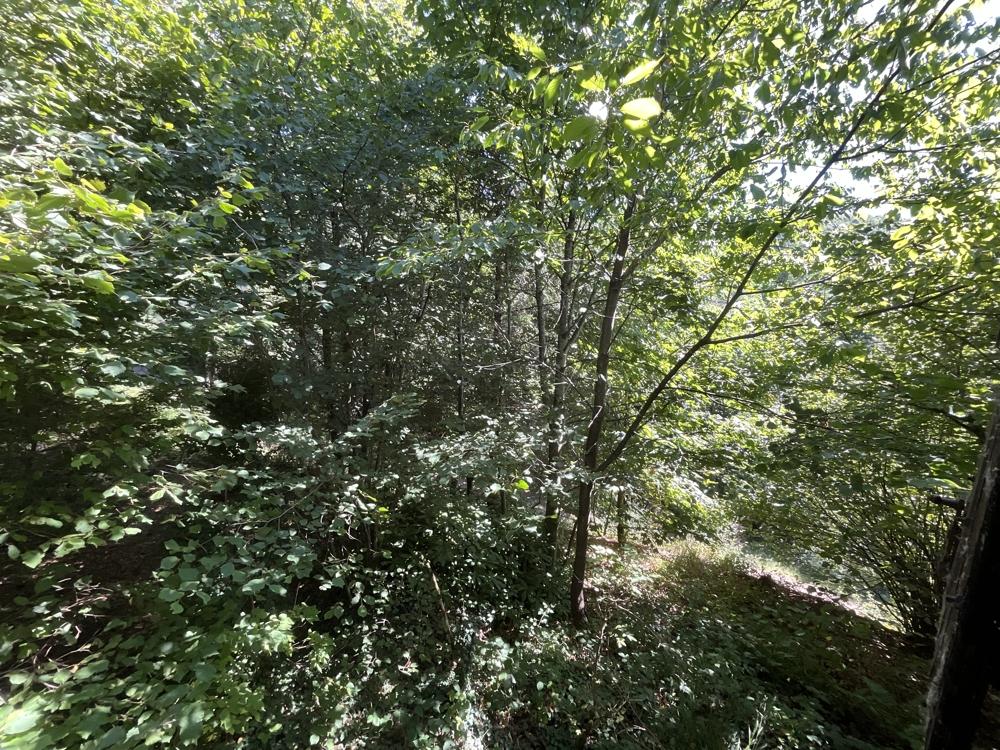 Blick aus dem Fenster