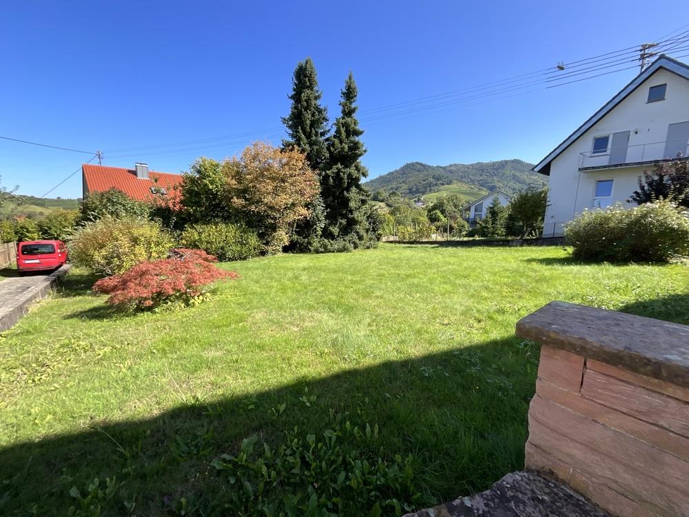 Garten hinterm Haus