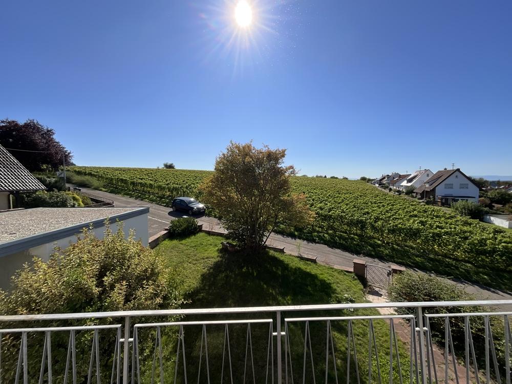 Blick vom Balkon über die Reben