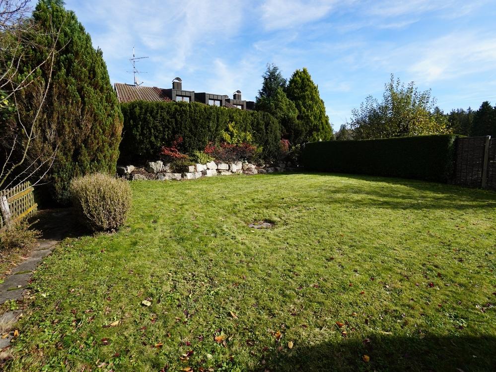 Rasenfläche des schönen Gartens