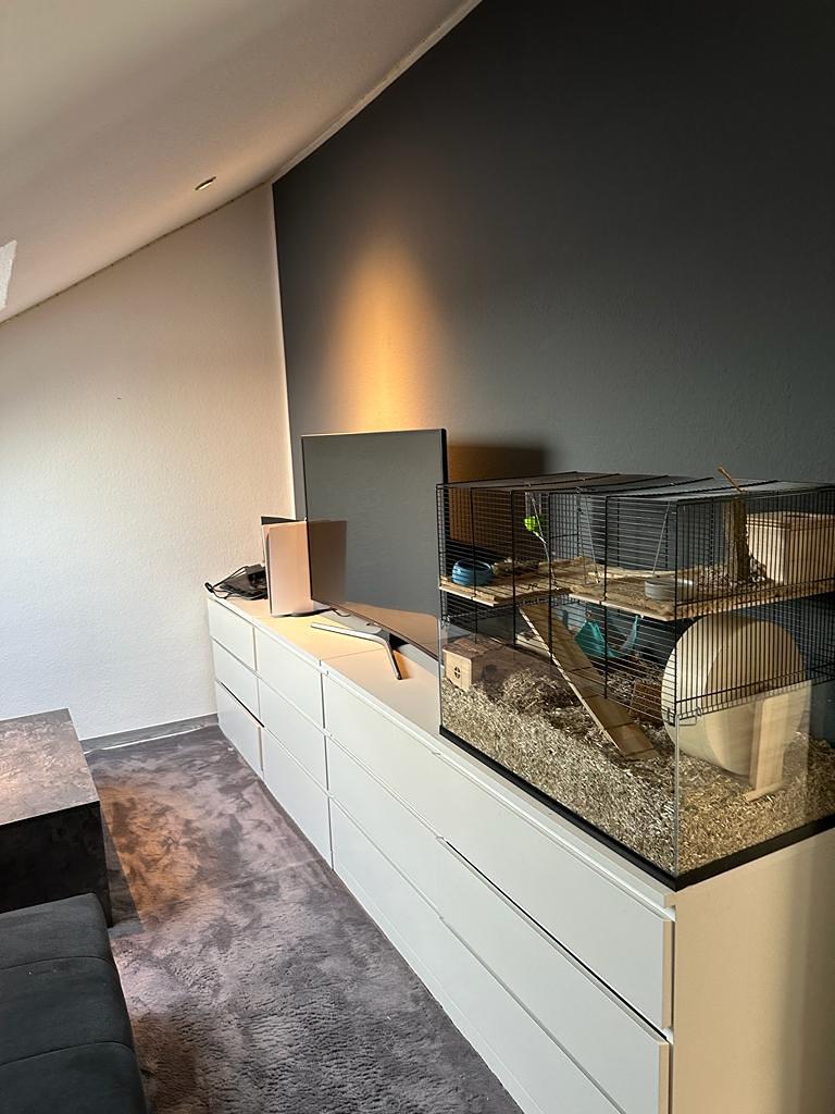 Wohnung in Pulheim - Photo 4