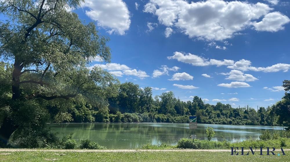 Poschinger Weiher