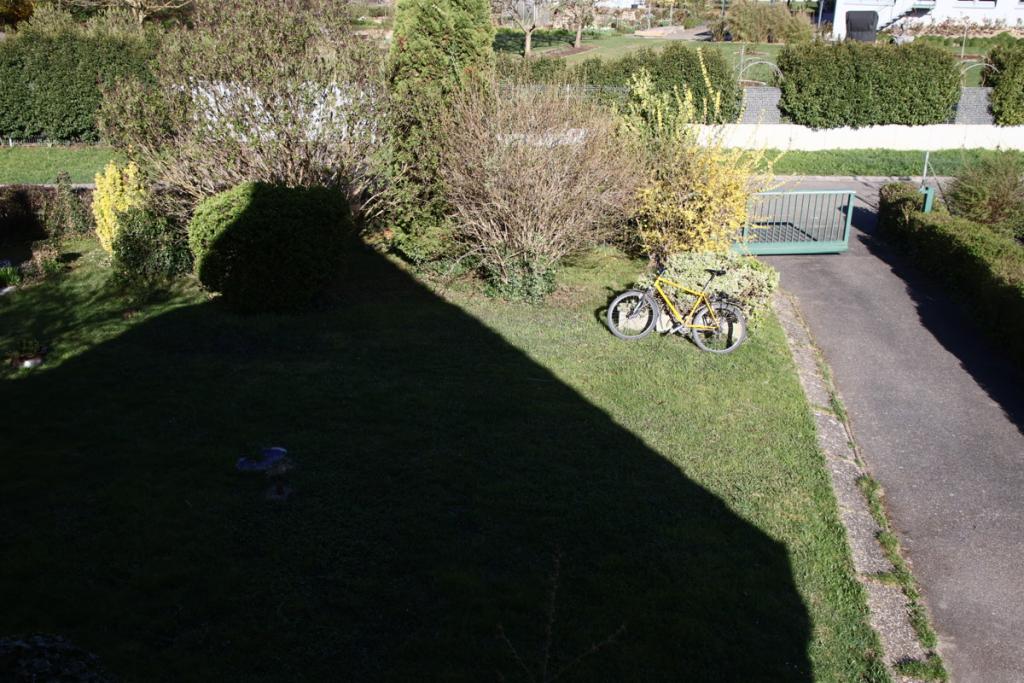 Garten Hofeinfahrt 0000079