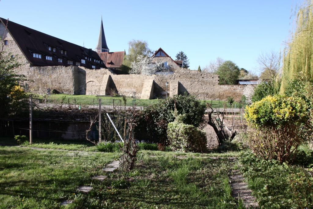 Sicht von der Terrasse 0000079