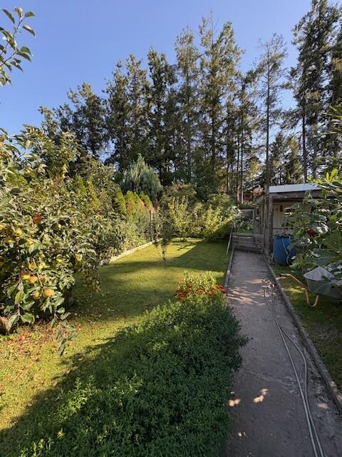 Garten nach Gemüse Obst 2