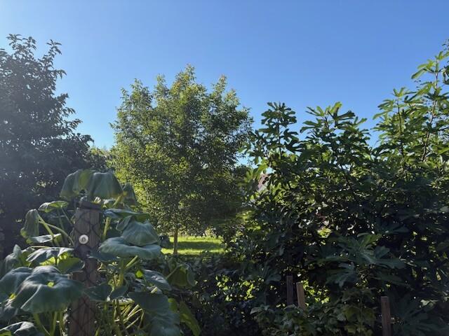 Garten zum Nachbar