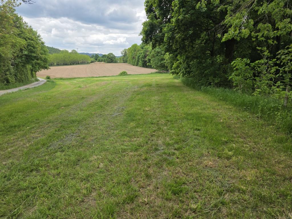 Ansicht Pachtgrundstück