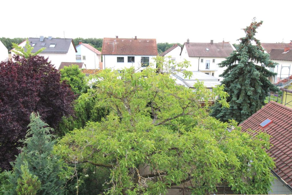 Blick von der Dachterrasse