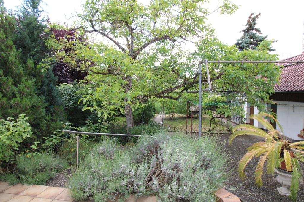 Blick von der Terrasse