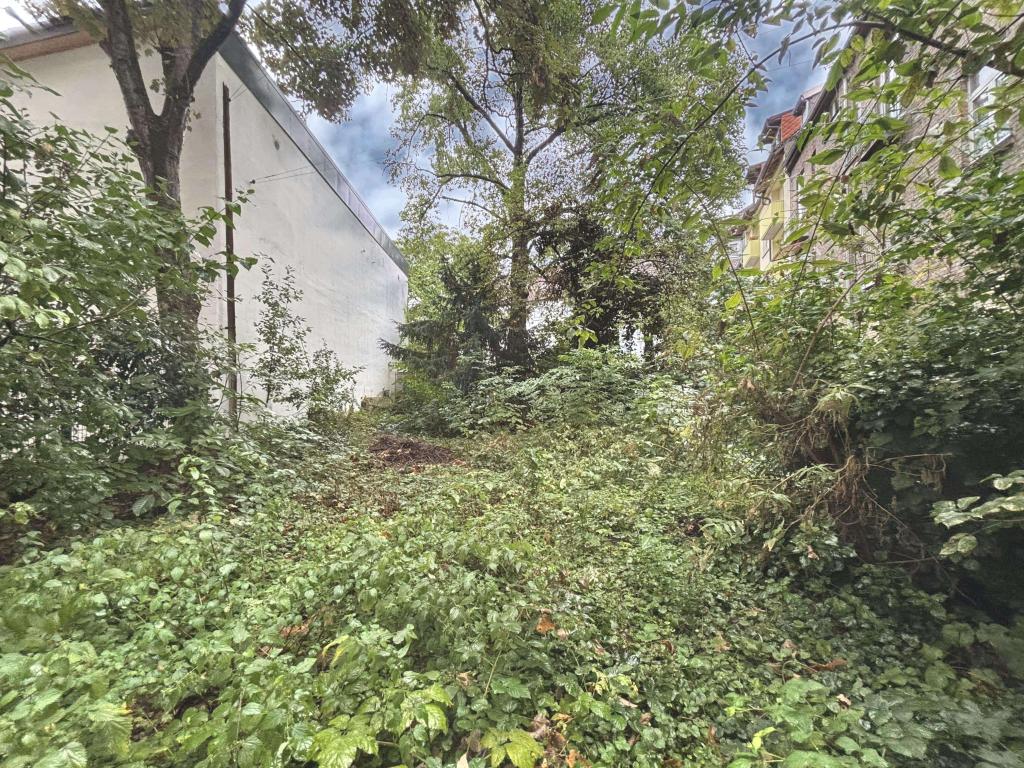 Bewohner mit grünem Daumen willkommen