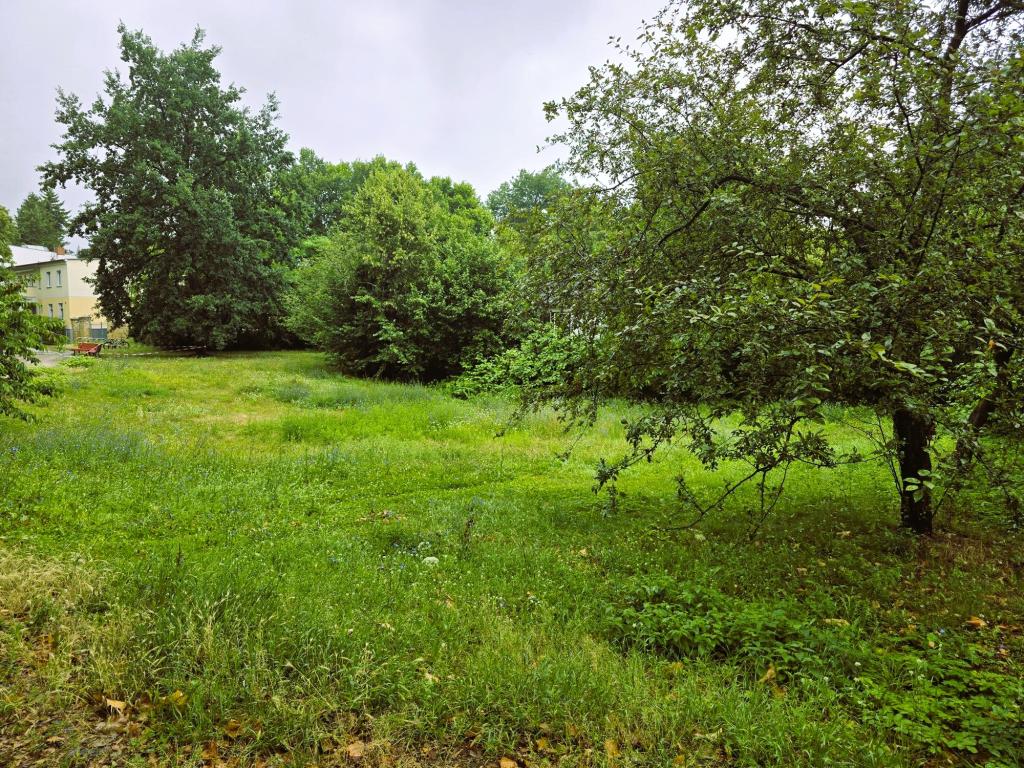 Naturfläche Lanke-Aue