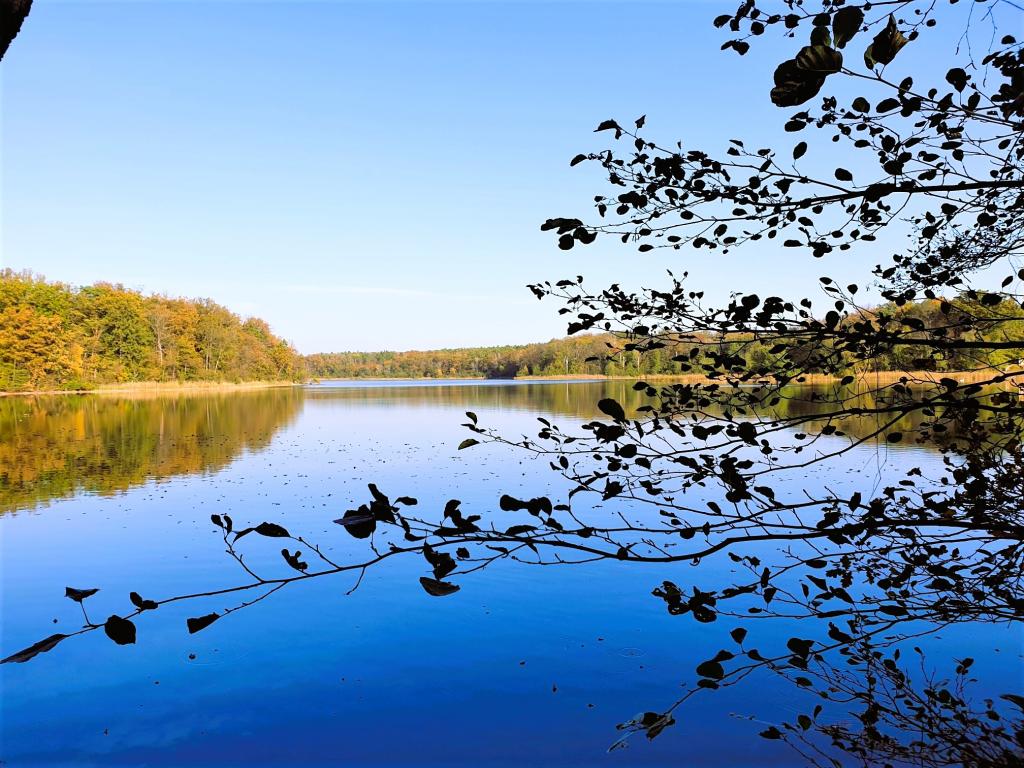 Sacrower See