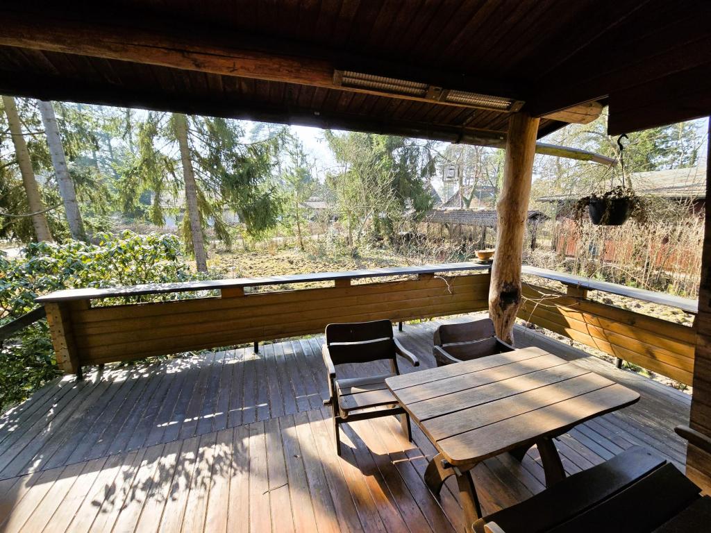Blick in Garten